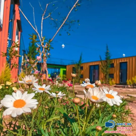 Container Homestay Đà Lạt - Lâm Đồng